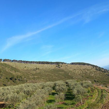 Vila Dean Berat Exterior photo