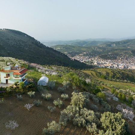 Vila Dean Berat Exterior photo