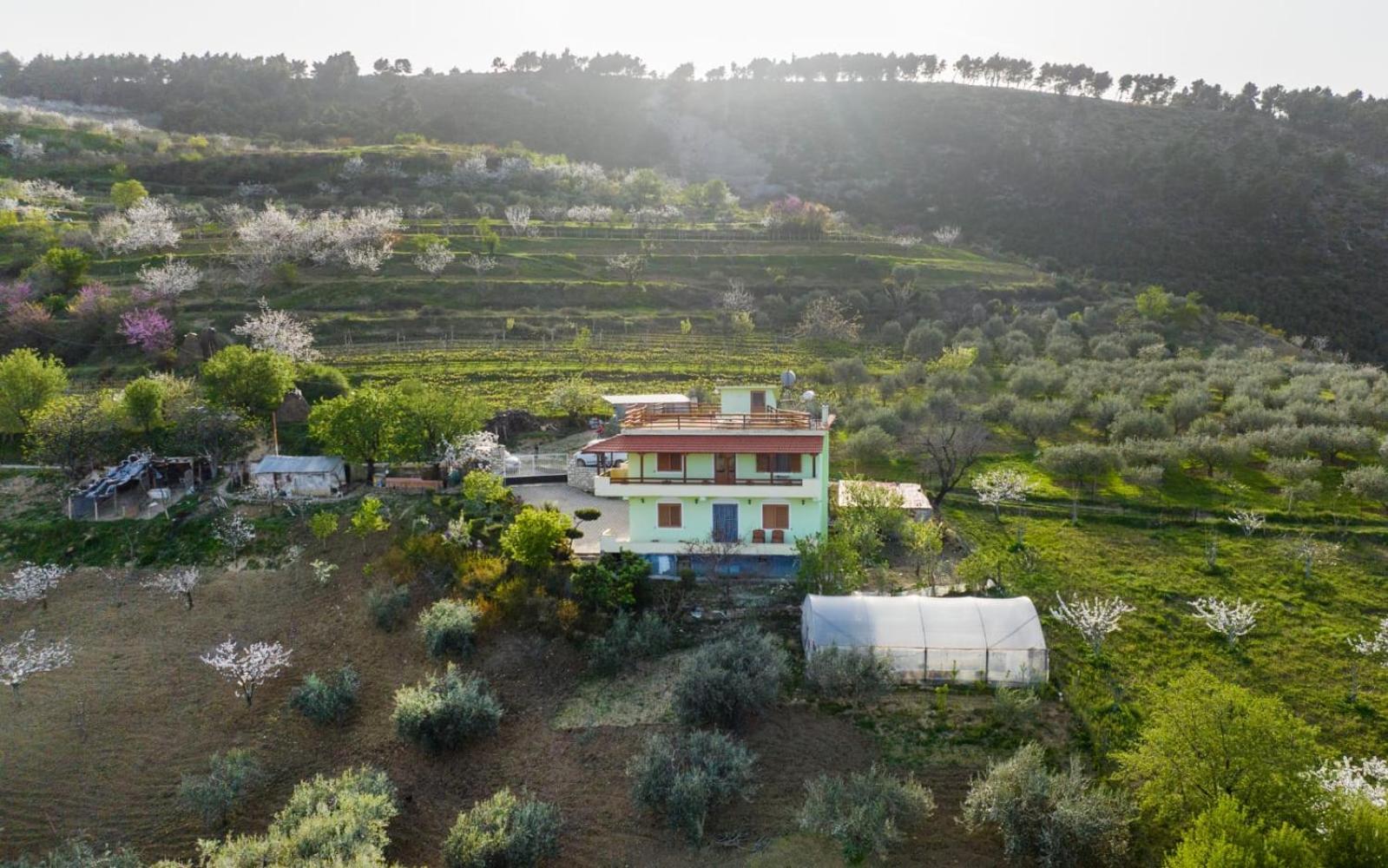 Vila Dean Berat Exterior photo