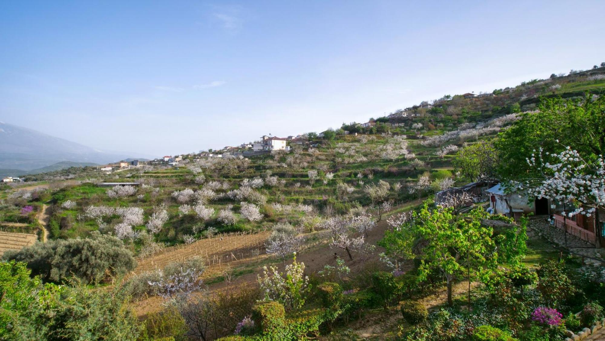 Vila Dean Berat Exterior photo